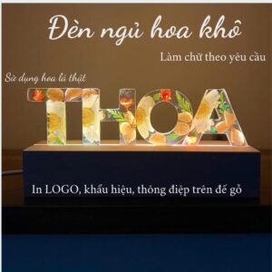 Đèn Ngủ Hoa Khô Màu Cam