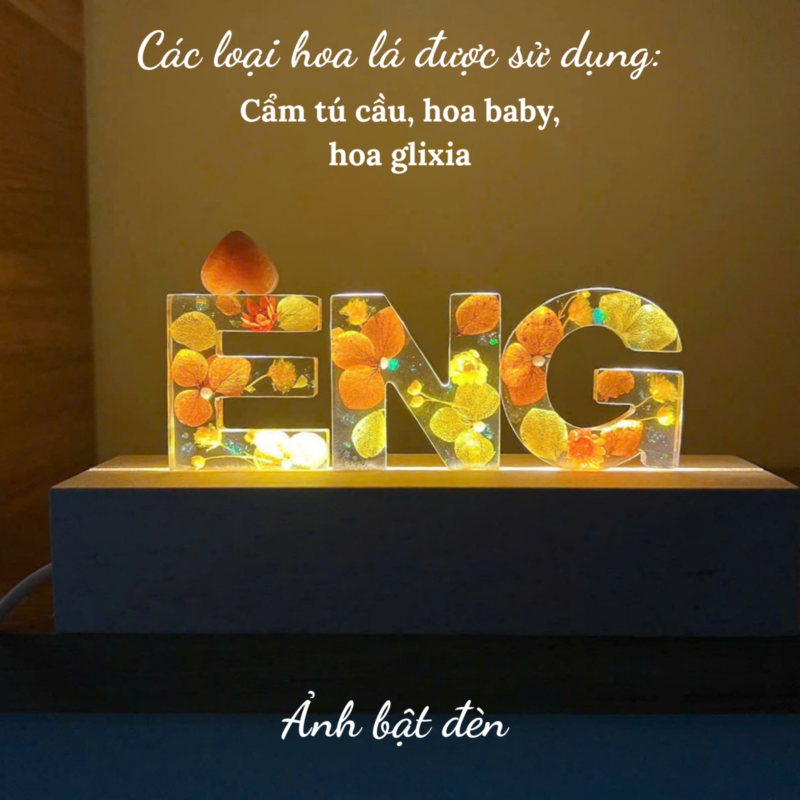 Den ngu hoa kho tone mau cam ruc sang duoi anh den LED huyen ao
