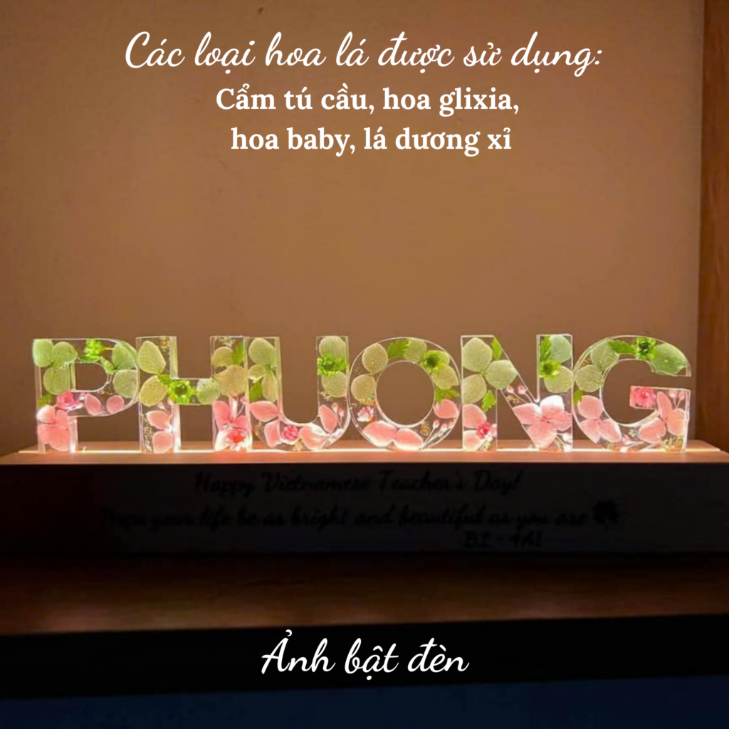 Den chu hoa kho mau hong ngot ngao sieu de thuong lam qua tang