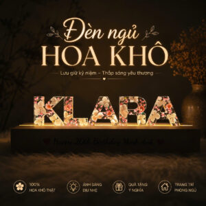 Đèn Ngủ Hoa Khô Màu Hồng