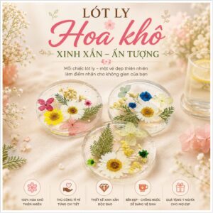Lót Ly Hoa Khô Trang Trí